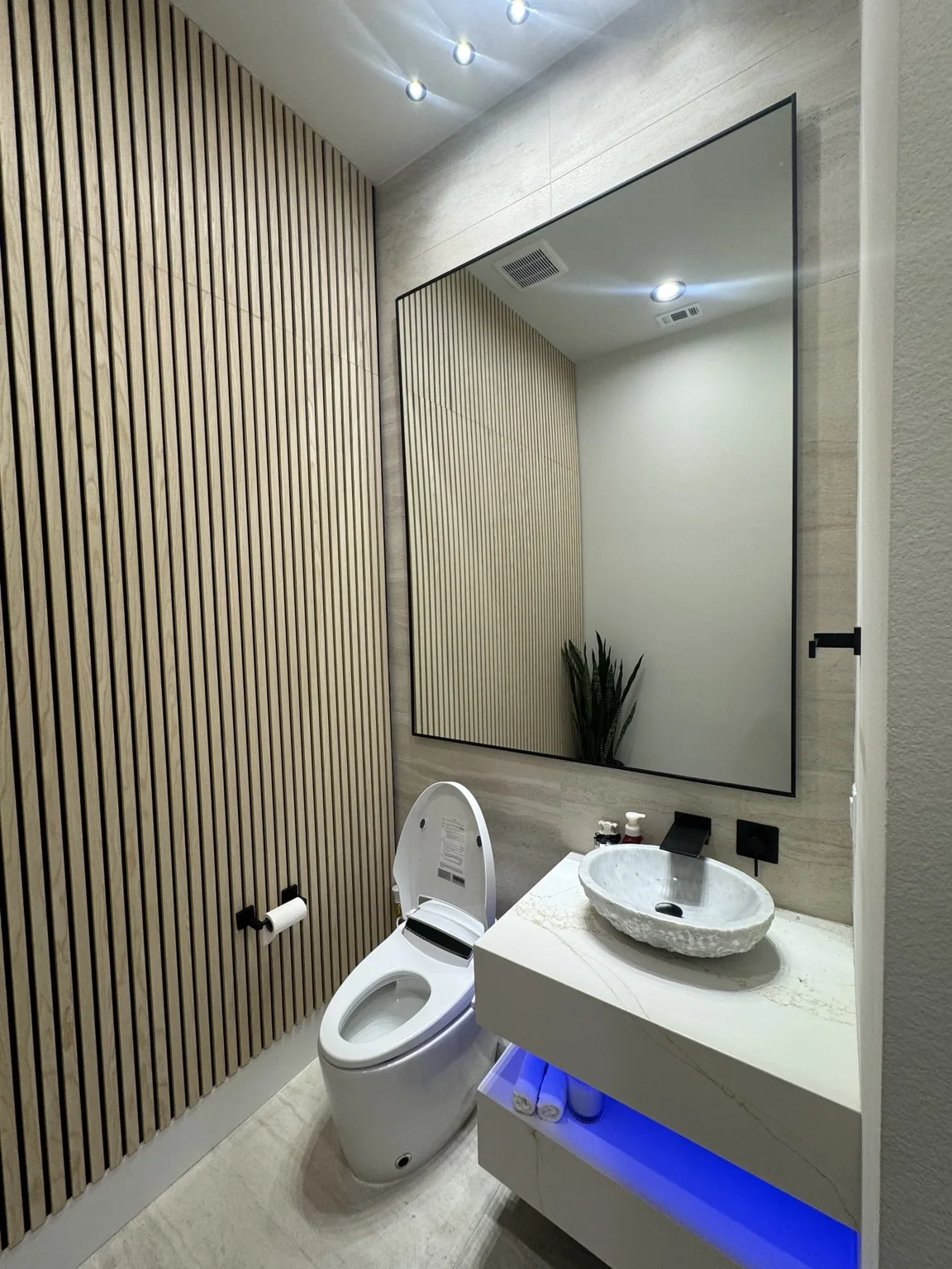 Modern powder room finishes
